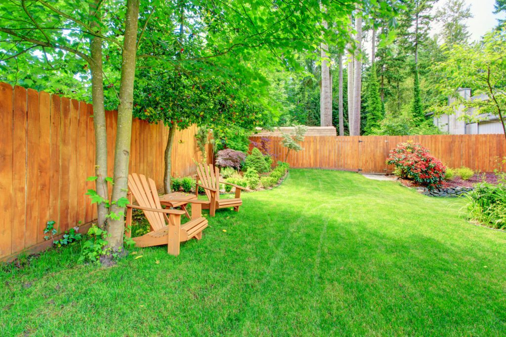 Backyard with stained fences