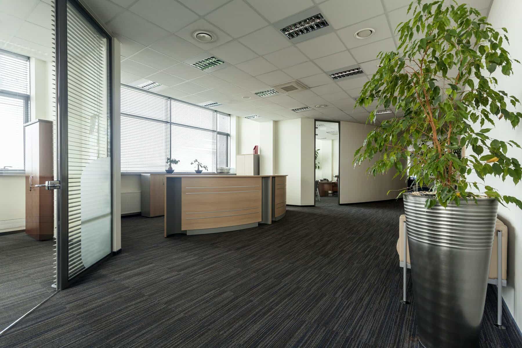 Office corridor with wood floorings