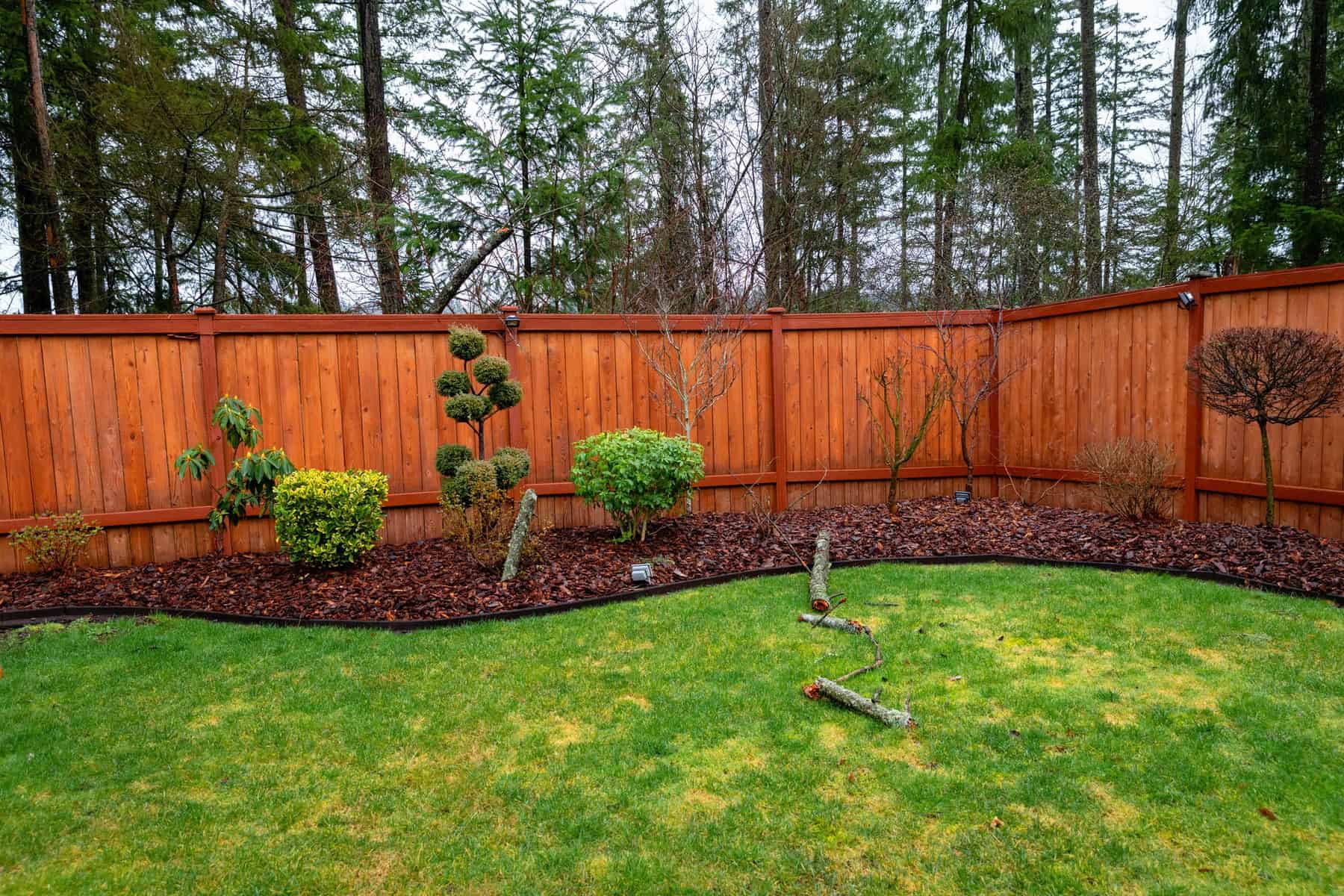 Backyard stained wooden fences